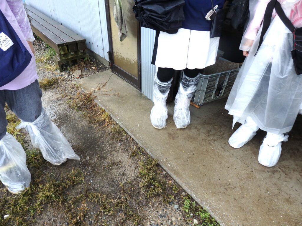 nouenn7
