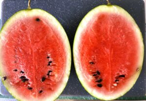 nouenni